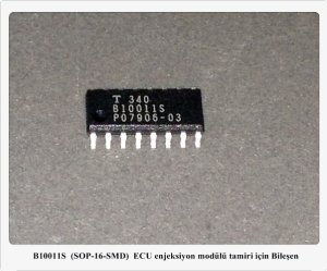 B10011S  
