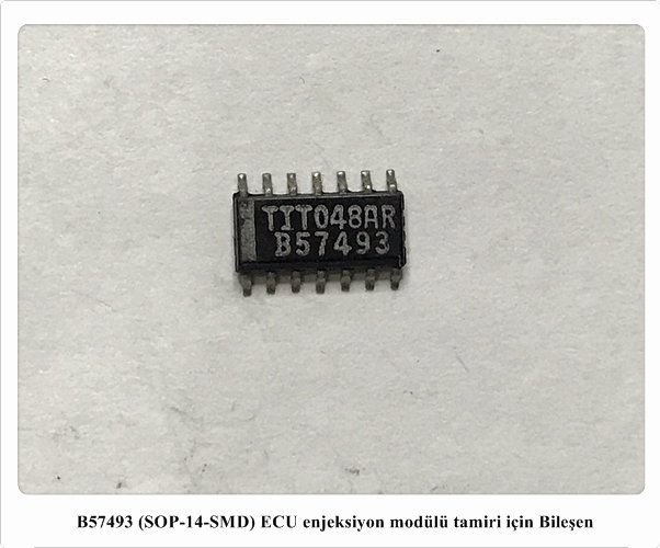 B57493 