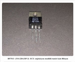 B57513