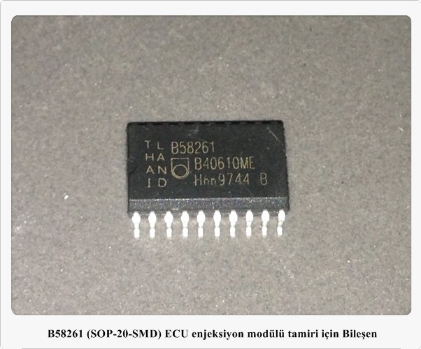 B58261