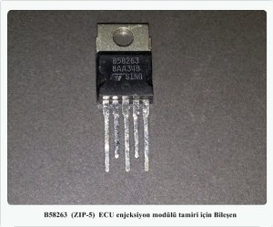 B58263  