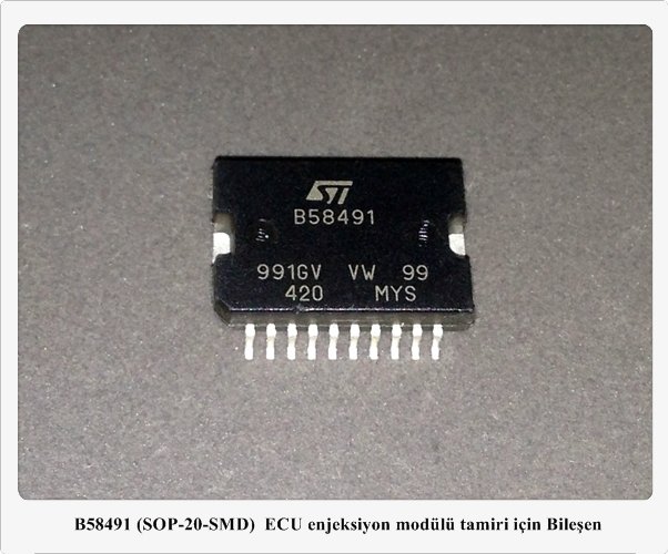 B58491