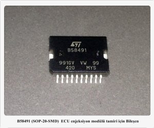 B58491