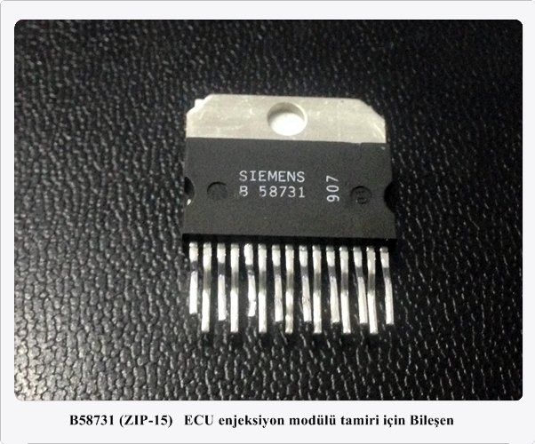 B58731