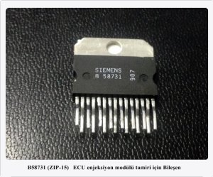 B58731