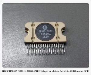 30313 /30221 / 30080