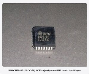 30442