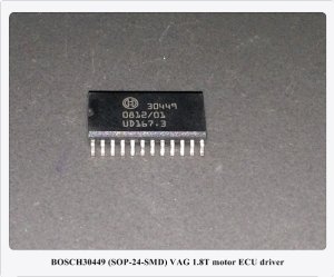30449