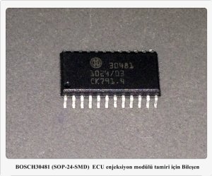 30481