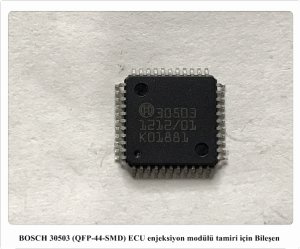 30503
