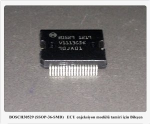 30529