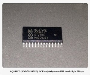 0Q9811T