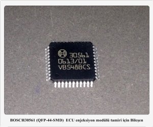 30561