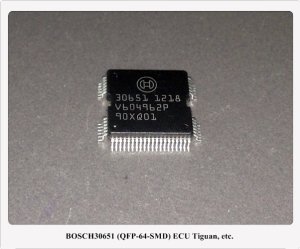 30651