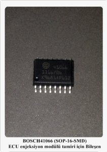 41066