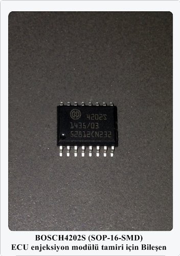 4202S