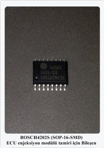 4202S