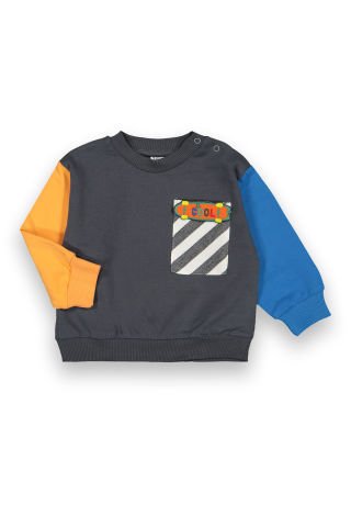 6-18 Ay Erkek Bebek Cep Ve Renk Detaylı Sweatshirt-214