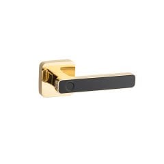 Blitz Lock Akıllı Kilit Sistemi Alfa Gold