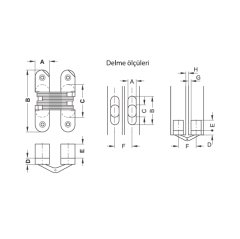 Hafele Soss Gizli Menteşe Nikel 19,2x95,2mm