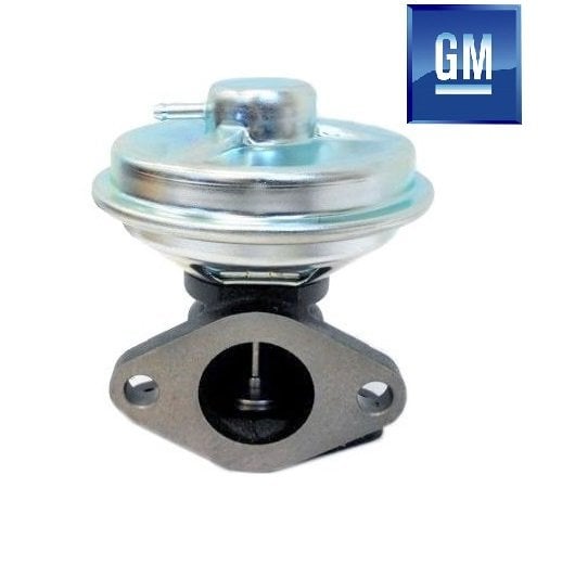 Chevrolet Captiva Egr Valfi 2007-2011 [Orijinal GM]