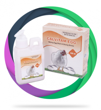 CALVİTAM EGG 100ml