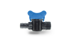 Mini Vana (Kurtağzı-Erkek)