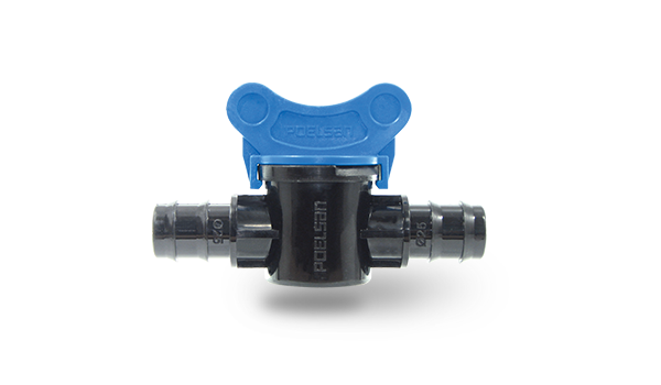 Mini Vana (Kurtağzı)