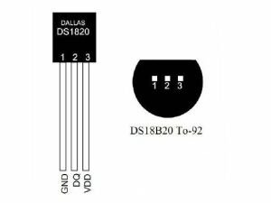 DS18B20 Sıcaklık Sensörü