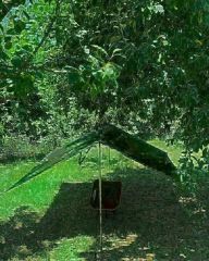 NURGAZ CAMPOUT TARP 3X3