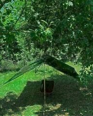 NURGAZ CAMPOUT TARP 3X3