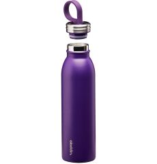 Aladdin Chilled Thermavac™ Çelik Soğuk Su Termosu 0,55 LT