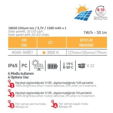 ACK AG60-04851 Hareket Sensörlü Solar Aplik - Gün Işığı (3000K)