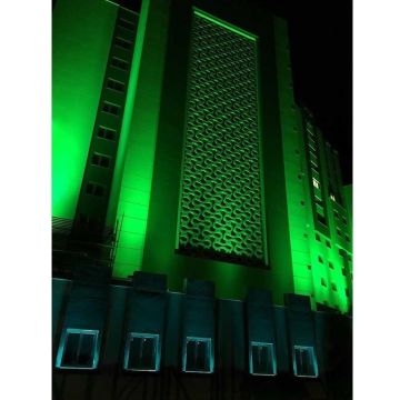 ACK AT20-00953 9 Watt 28 cm Yeşil LED Wallwasher - IP67