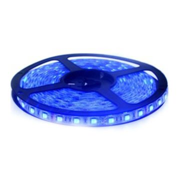 K2 GLOBAL KCL004 12 Volt Tek Mavi Şerit Led - 4.8 Watt/Metre [5 Metre]
