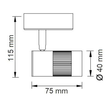 HOROZ 018-008-0005 MILANO Siyah Kasa 5 Watt LED Ray Spot - Gün Işığı (3000K)