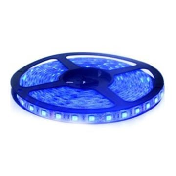 K2 GLOBAL KCL005 12 Volt 3 Çipli Mavi Şerit Led - 10 Watt/Metre [5 Metre]
