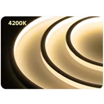 HOROZ 081-010-0033-4200K 12 Volt Ilık Beyaz (4000K) Slim Neon Led - 8 Watt/Metre [5 Metre]