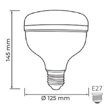 HOROZ 001-016-1050 CRYSTAL 50 Watt Torch LED Ampul