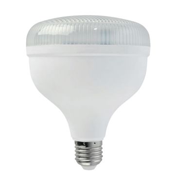 HOROZ 001-016-1050 CRYSTAL 50 Watt Torch LED Ampul