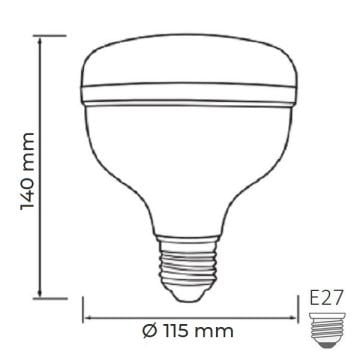 HOROZ 001-016-1040 CRYSTAL 40 Watt Torch LED Ampul