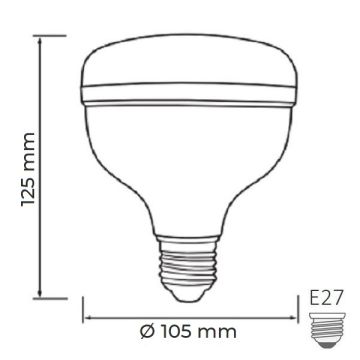 HOROZ 001-016-1030 CRYSTAL 30 Watt Torch LED Ampul