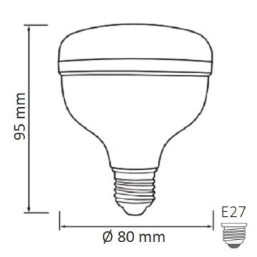 HOROZ 001-016-1020 CRYSTAL 20 Watt Torch LED Ampul