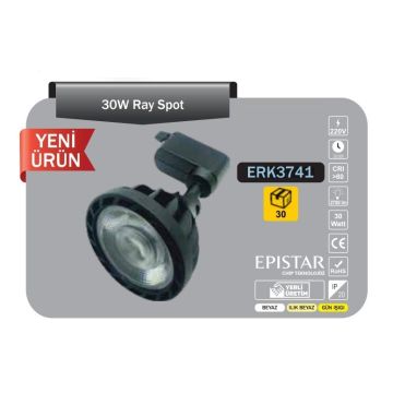 ERKled ERK3741 30 Watt Siyah Kasa LED Ray Spot