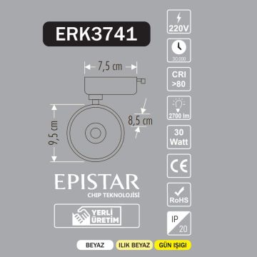 ERKled ERK3741 30 Watt Siyah Kasa LED Ray Spot