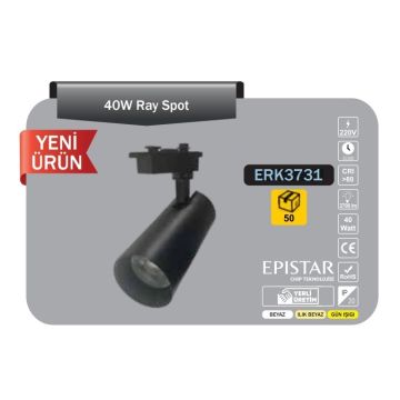 ERKled ERK3731 40 Watt Siyah Kasa LED Ray Spot