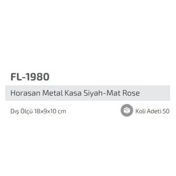 FORLIFE FL-1980 Horosan Siyah-Mat Rose Sıva Üstü İkili Spot Kasası - Metal