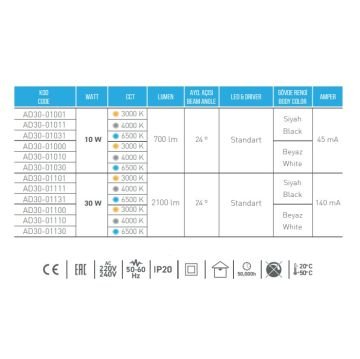 ACK AD30-01131 30 Watt Siyah Kasa LED Ray Spot - Beyaz Işık (6500K)