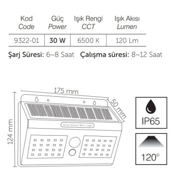 inoled 9322-01 30 Watt Solar Duvar Apliği - Beyaz Işık (6500K)