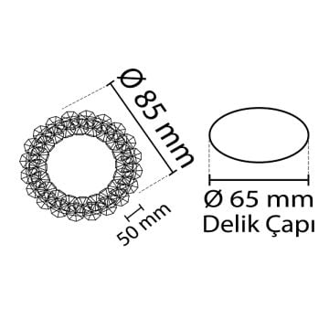 NOAS YL65-1644 POSEDİON Gold Kristal Spot Kasası
